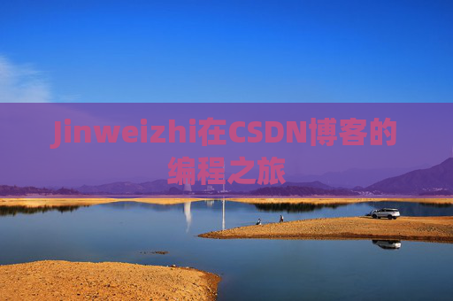 Jinweizhi在CSDN博客的编程之旅
